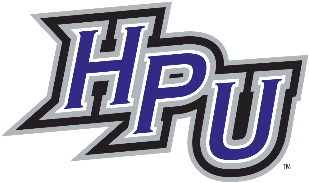 High Point Panthers 2004-Pres Alternate Logo v2 iron on transfers for T-shirts
